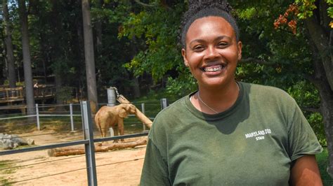 summer jobs in baltimore zoo