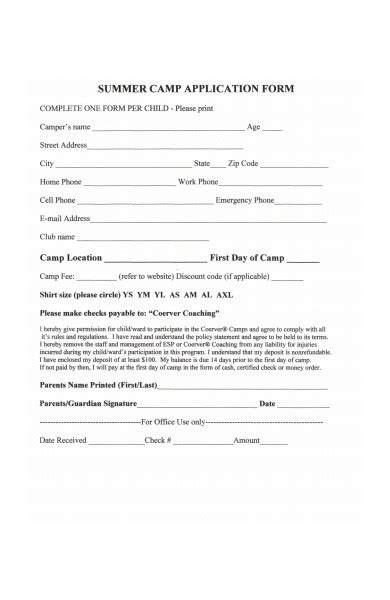 summer program application examples