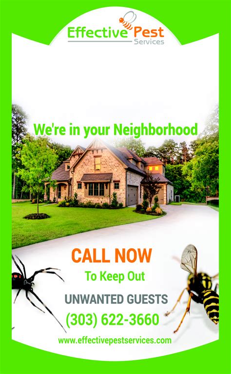 summer specials for pest control in florida