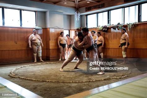 sumo training session