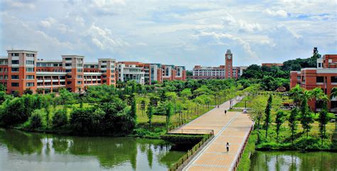 sun yat-sen university finance