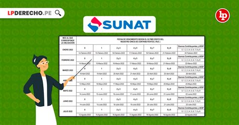 sunat declaraciones y pagos 2022
