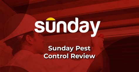 sunday pest control reviews