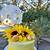 sunflower bridal shower cake ideas