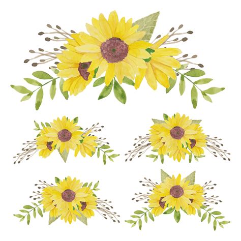 FREE Sunflower SVG Sunflower coloring pages, Sunflower drawing