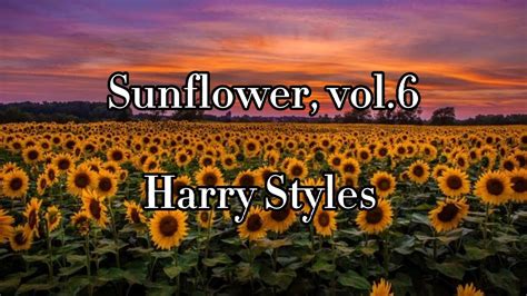 Harry Styles 'Sunflower Vol. 6' / Harry Styles Lyrics Etsy