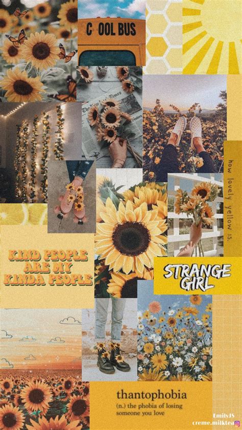 Sunflower Aesthetic Collage