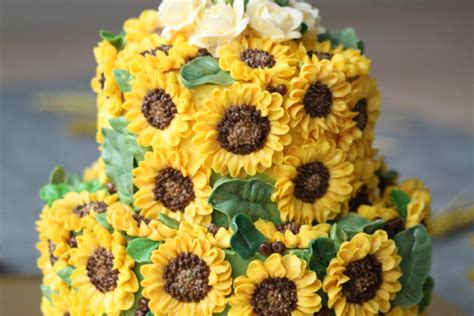 Sunflower Cake Uses