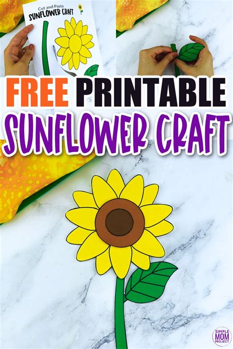 sunflower centers for crafts