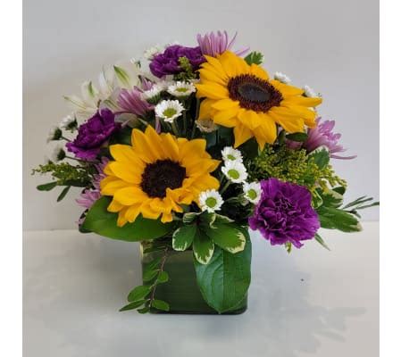 Sunflower Delivery Halifax