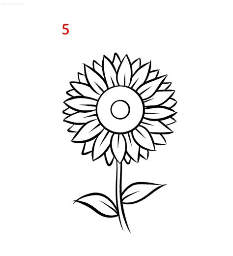 Sunflower Flower Drawing Easy