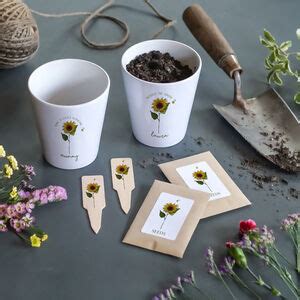 Sunflower Garden Gift Set