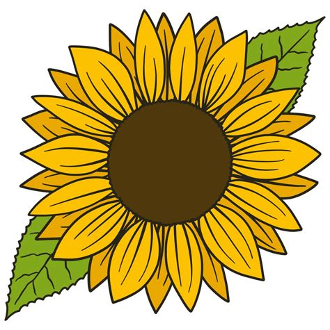sunflower images drawing easy cut