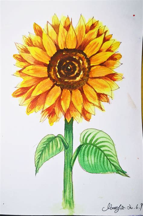 sunflower images drawing tutorial