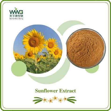 Sunflower Lecithin Extract