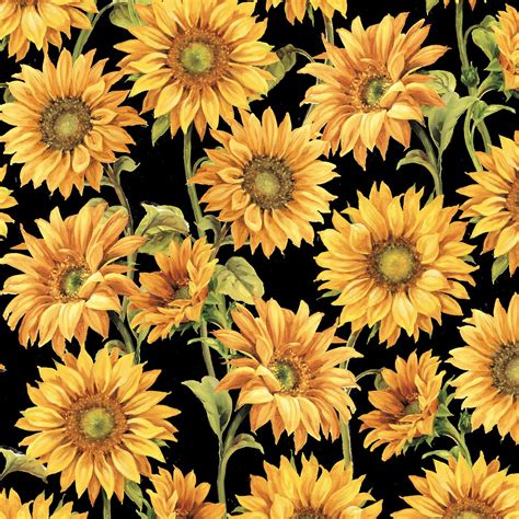 Pin by Susan Pechacek on fabrics Sunflower wallpaper, Sunflower