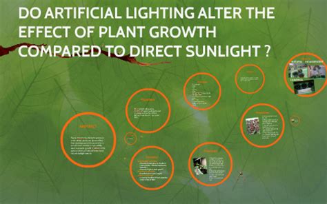 Sunlight Vs Artificial Light In Plant Growth