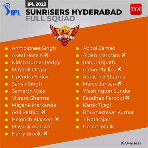 sunrisers hyderabad cricket team in ipl