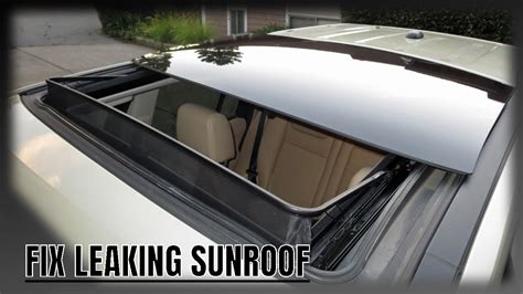 Sunroof Clean