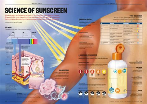 sunscreen cancer study