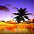 sunset with coconut tree wallpaper