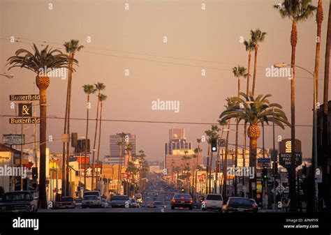 Discover the Magic of Sunset Blvd California Paradise Found