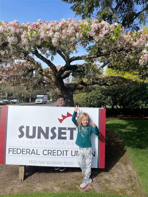 sunset credit union