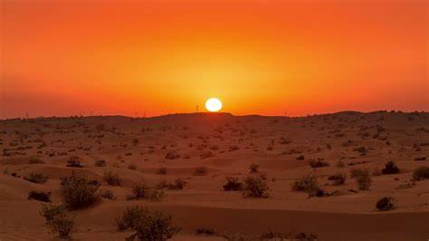 Sunset in the Desert