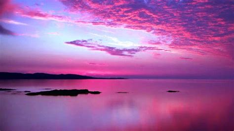 Unveiling the Mystery of Sunset Pink