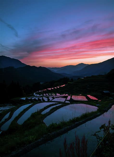 sunset rice paddies