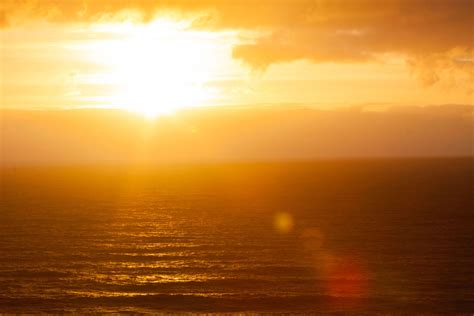 Unlock Sunshine Rays Wellness Secrets Today!