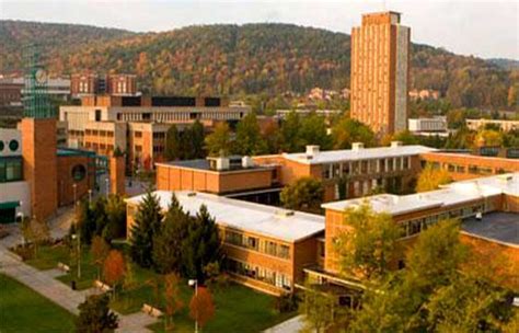 suny at binghamton ny