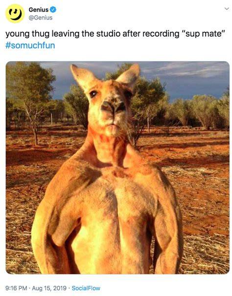 Young Thug Sup Mate Ft. Future (So Much Fun) YouTube