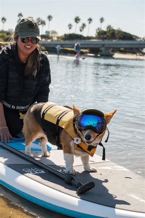 San Diego SUP Rentals Lessons learn to sup9 San Diego SUP Rentals