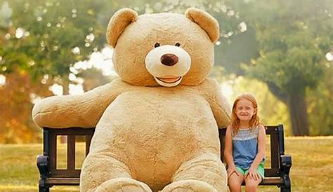 Giant Teddy Bears | Big Teddy Bears | Giant Stuffed Animals