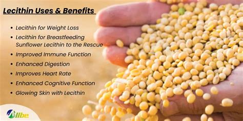 Super Lecithin Benefits