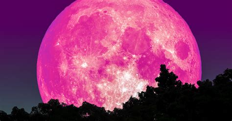 super pink moon 2023