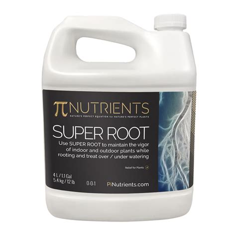 super root 316l 2.6mm