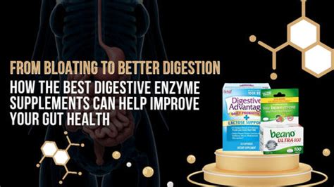 Supplements That Help With Bloating And Digestion