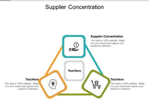 Supplier Concentration Example