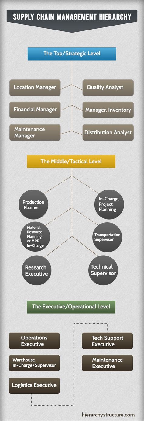 Supply Chain Hierarchy Levels