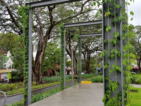 Support Structures In Garden