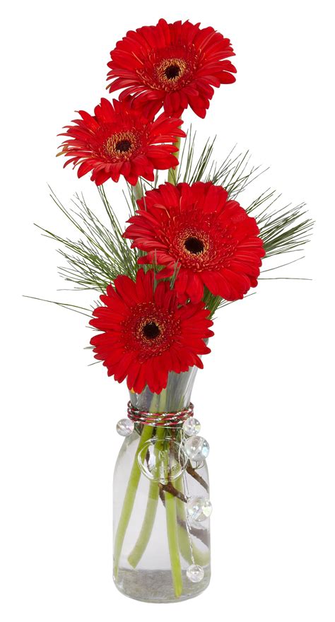 supporting-gerbera-daisies-with-stakes-or-wire