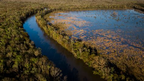 supreme court limits epa power over wetlands