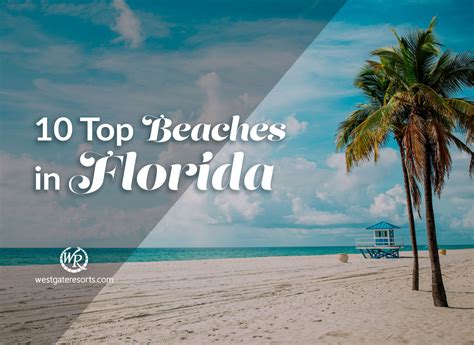 playa del sur de Florida