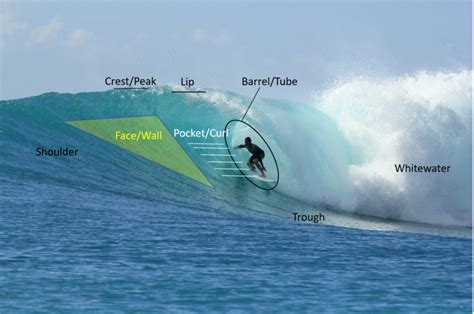 Surf Board Terms