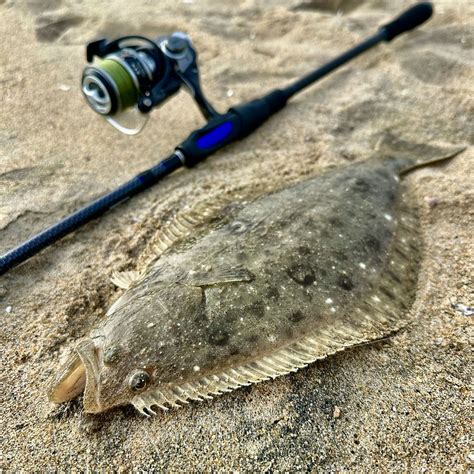 Surf Fishing Halibut