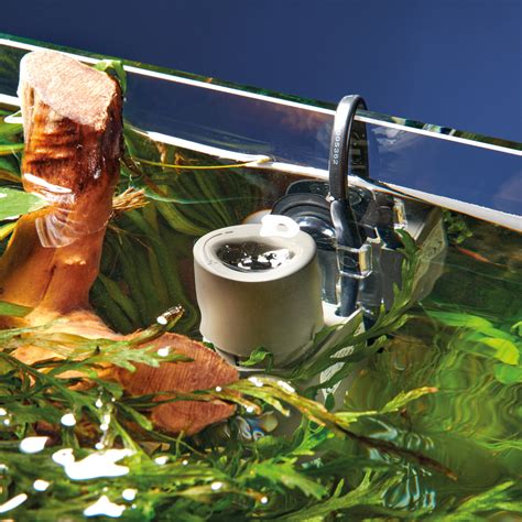 Surface Skimmer Aquarium