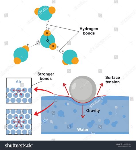 Surface Tension Of Liquid Hydrogen