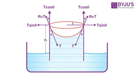 Surface Tension Of Liquid Questions